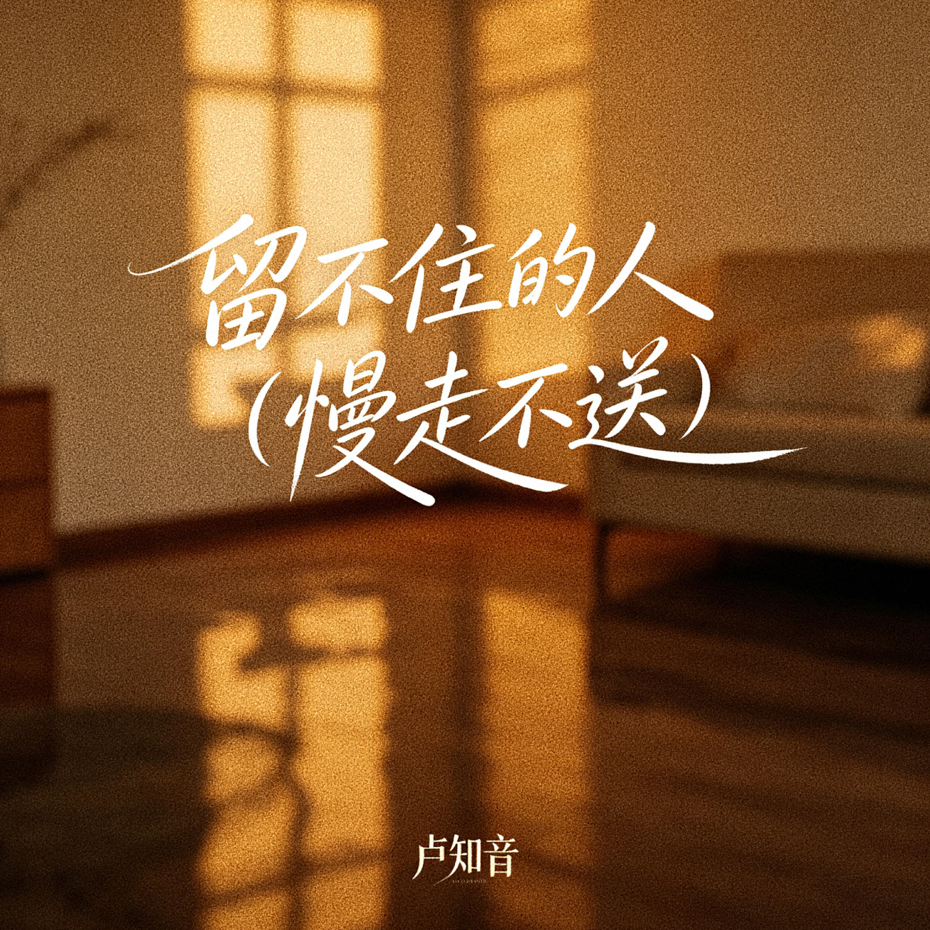 卢知音