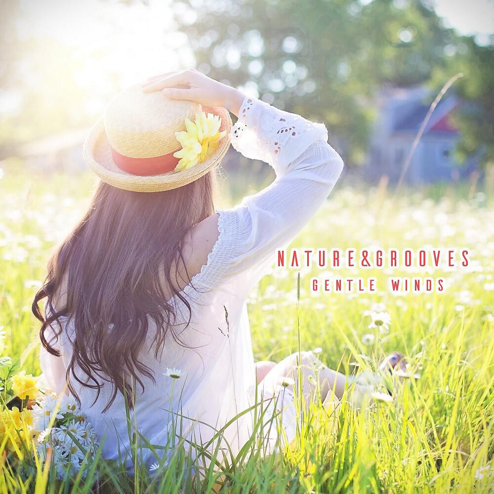 Скачать песню Nature & 2-4 Grooves - Gentle Winds бесплатно в MP3 для Android и iOS