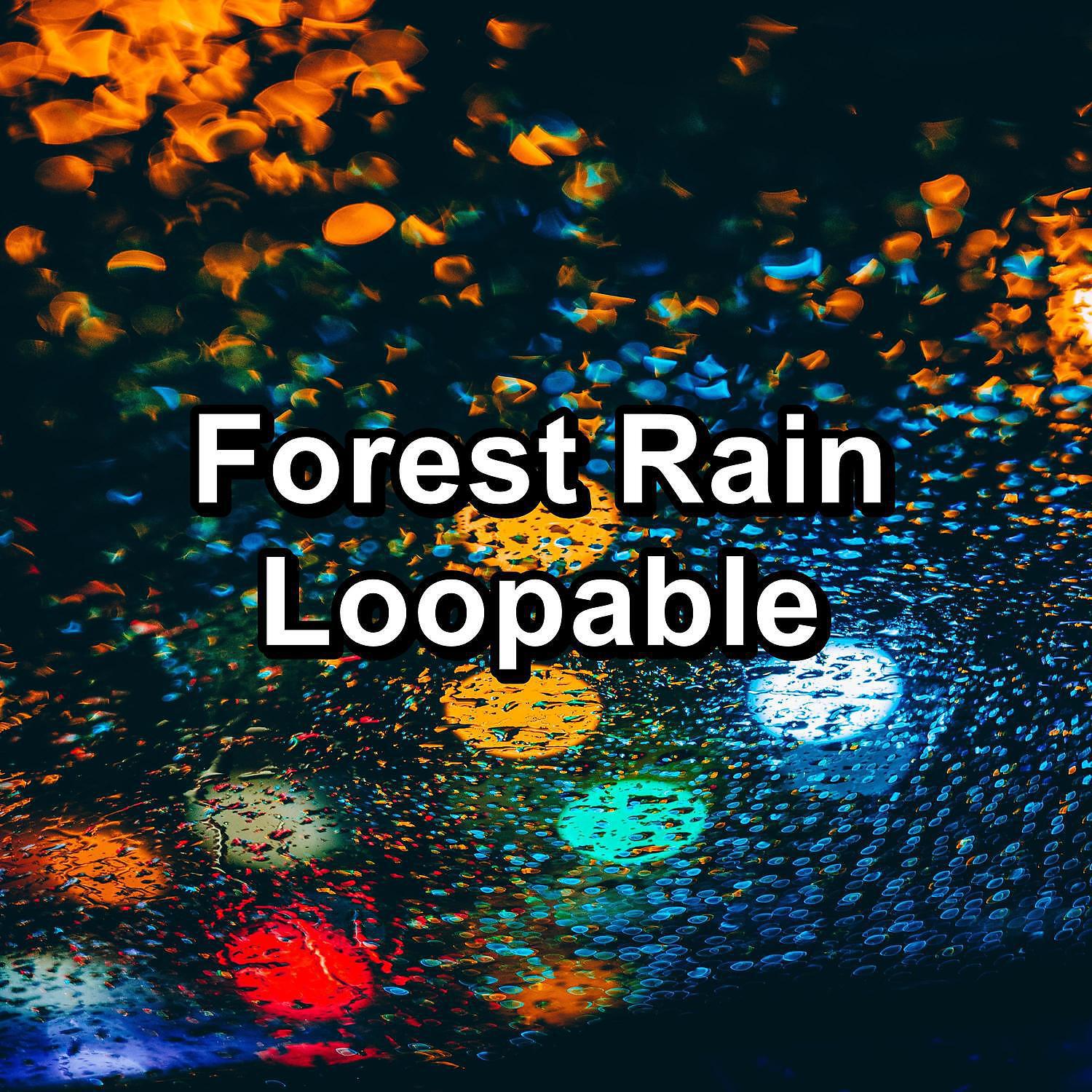 Релиз Forest Rain Loopable