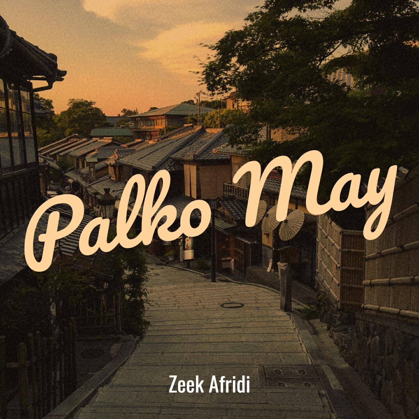 Релиз Palko May