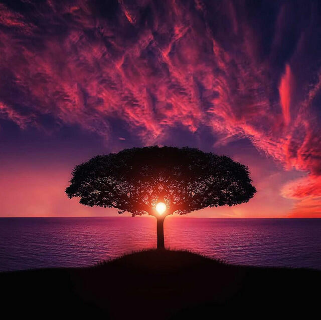 Релиз The Power Relaxation Set - 100 Soothing Tracks of Deep Peace and Tranquillity for Instant Relaxation and Ultimate Deep Sleep