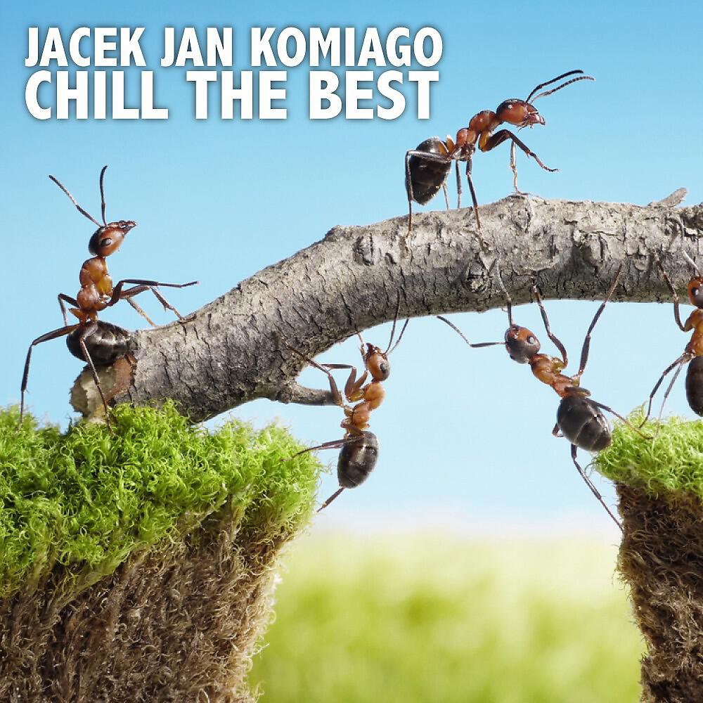 Релиз Chill the Best