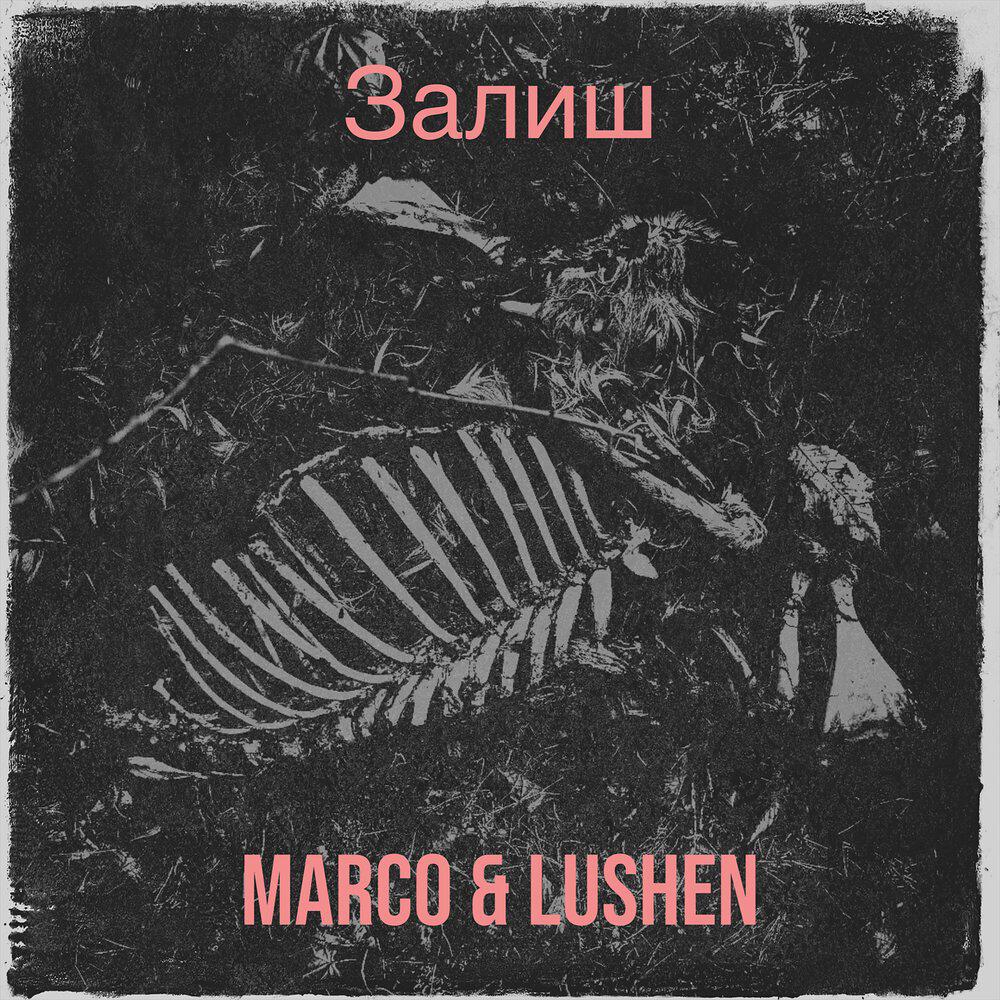Релиз Залиш