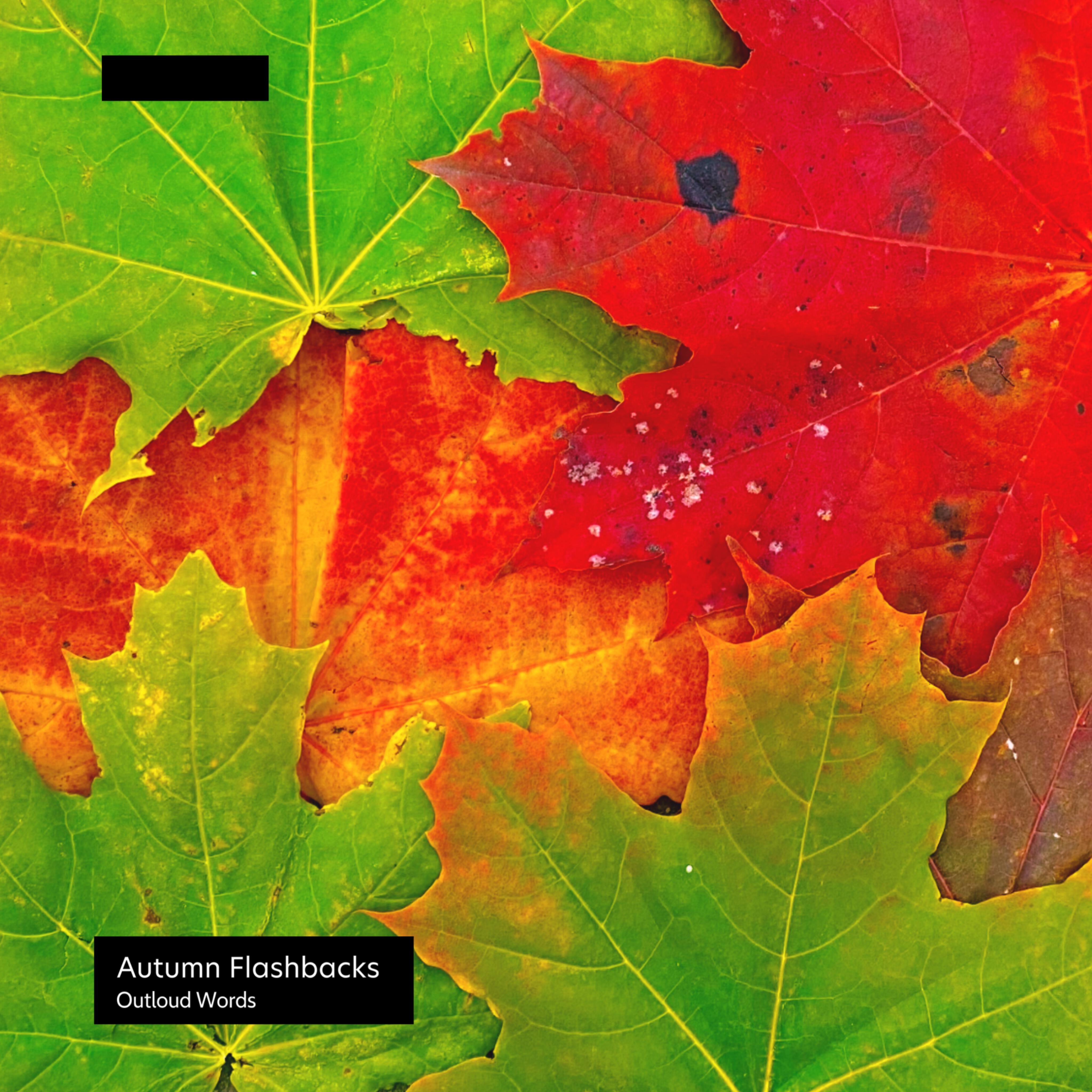 Релиз Autumn Flashbacks