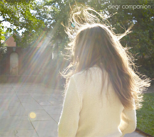 Релиз Dear Companion