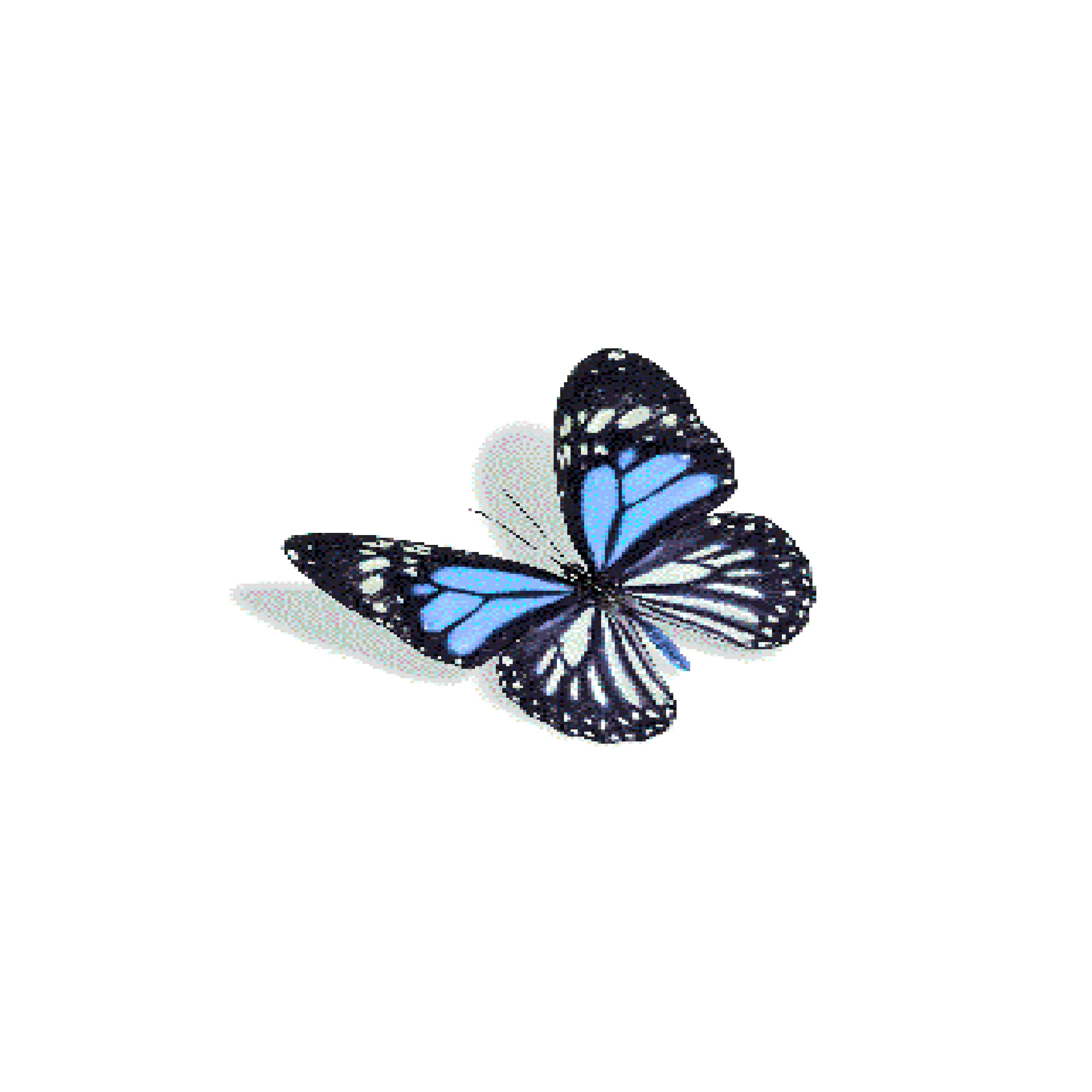 Релиз Butterfly Tetrad