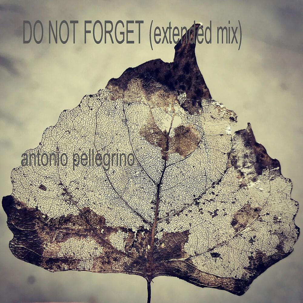Релиз Do Not Forget (Extended Mix)
