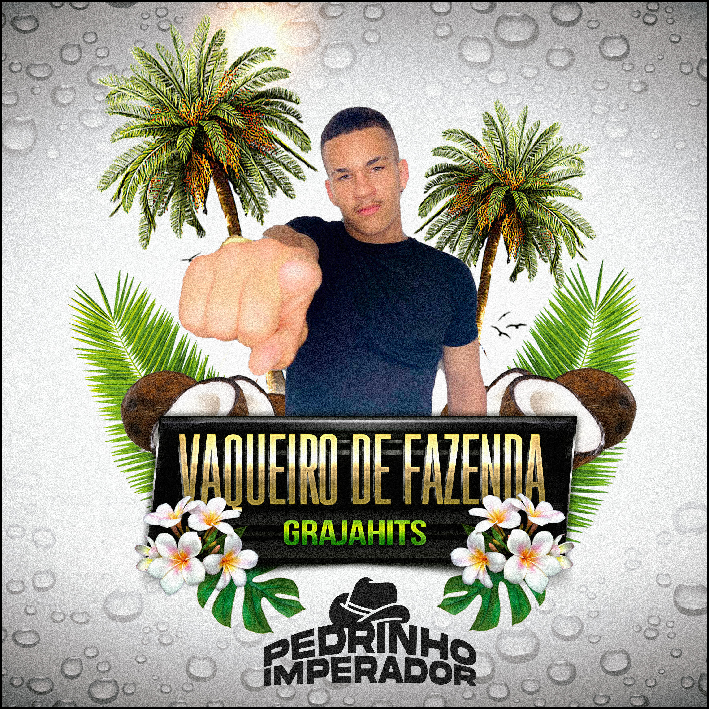 Релиз Vaqueiro de Fazenda