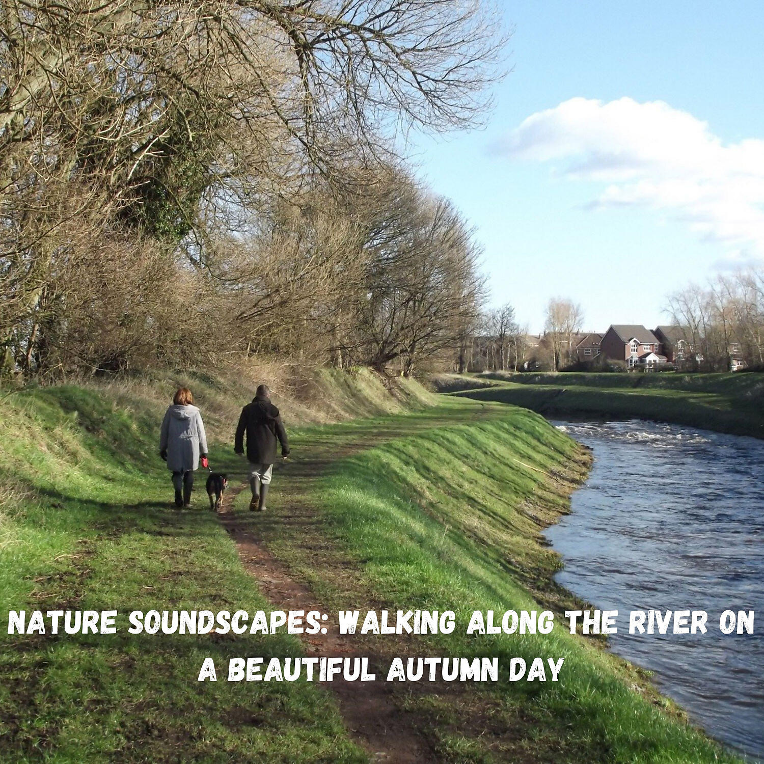 The Rivers and Streams & Hi Freq Samples & Studying Music - Wind Through Waterfall for Sleep