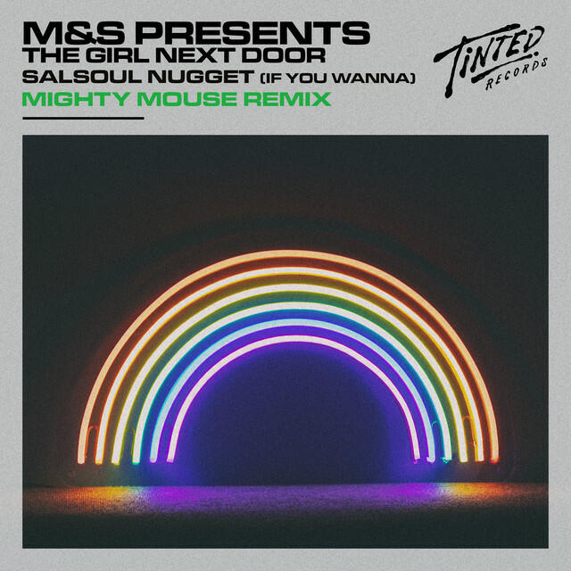Релиз Salsoul Nugget (If You Wanna) [Mighty Mouse Vocal Remix]