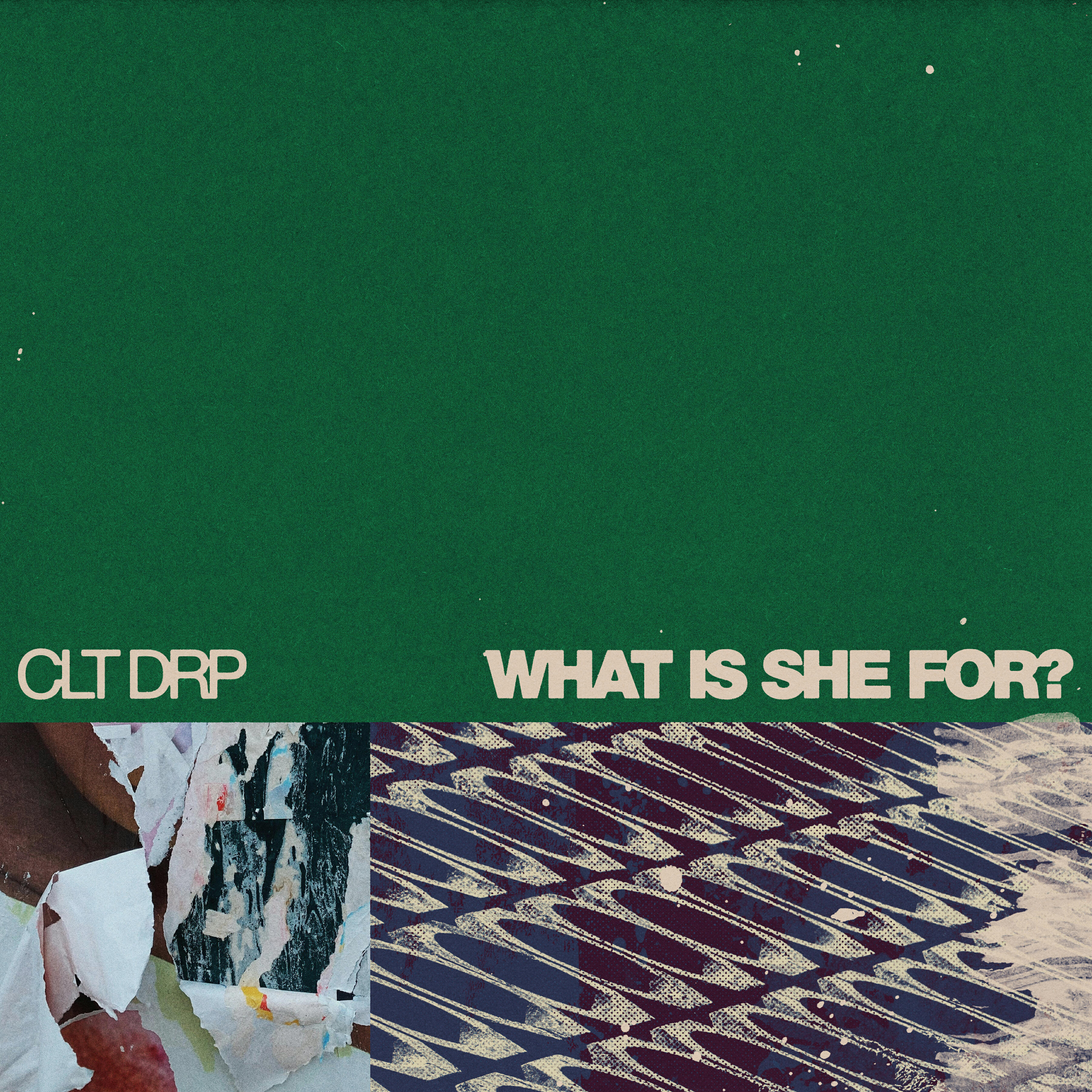 Релиз WHAT IS SHE FOR?