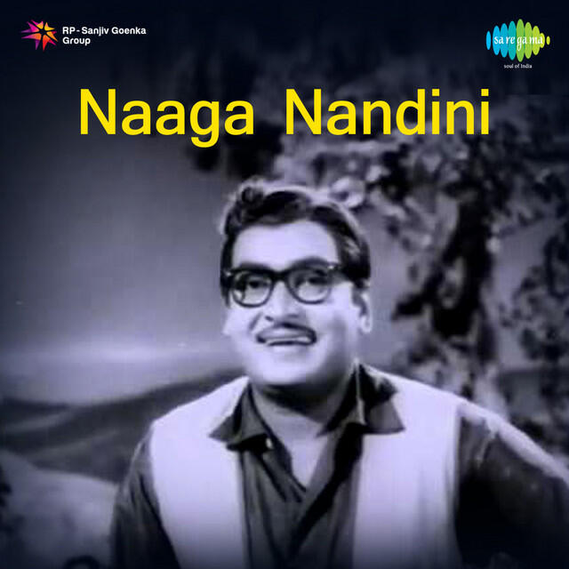 Релиз Naaga Nandini (Original Motion Picture Soundtrack)