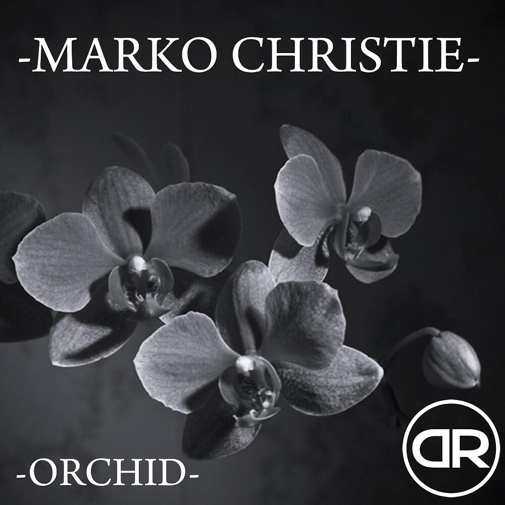 Релиз Orchid