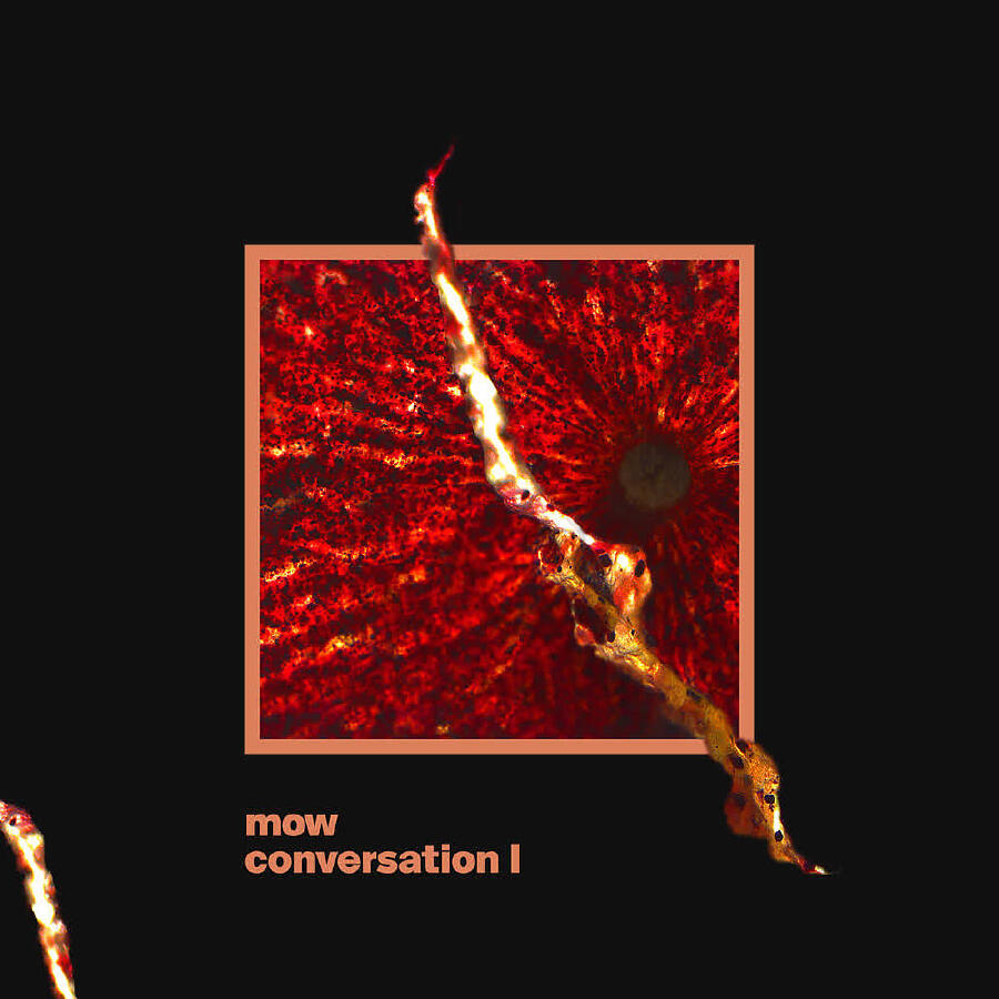 Релиз Conversation I