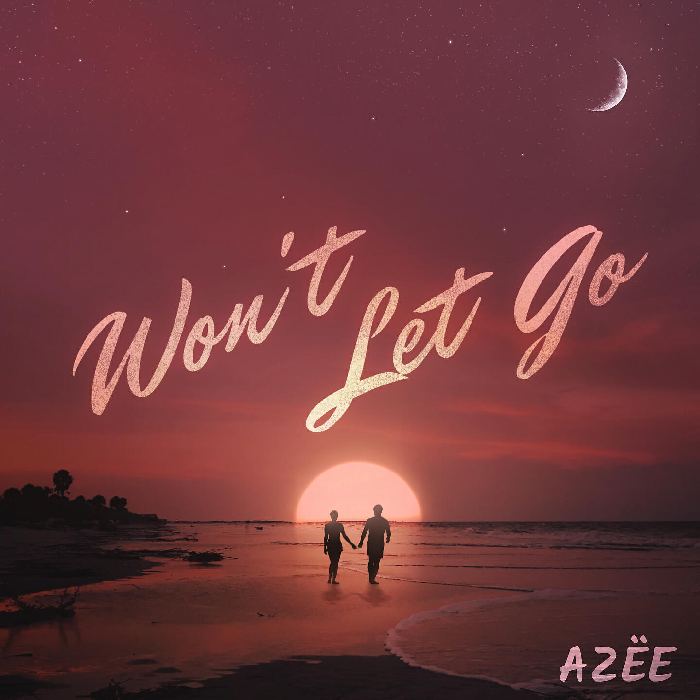 Релиз Won't Let Go