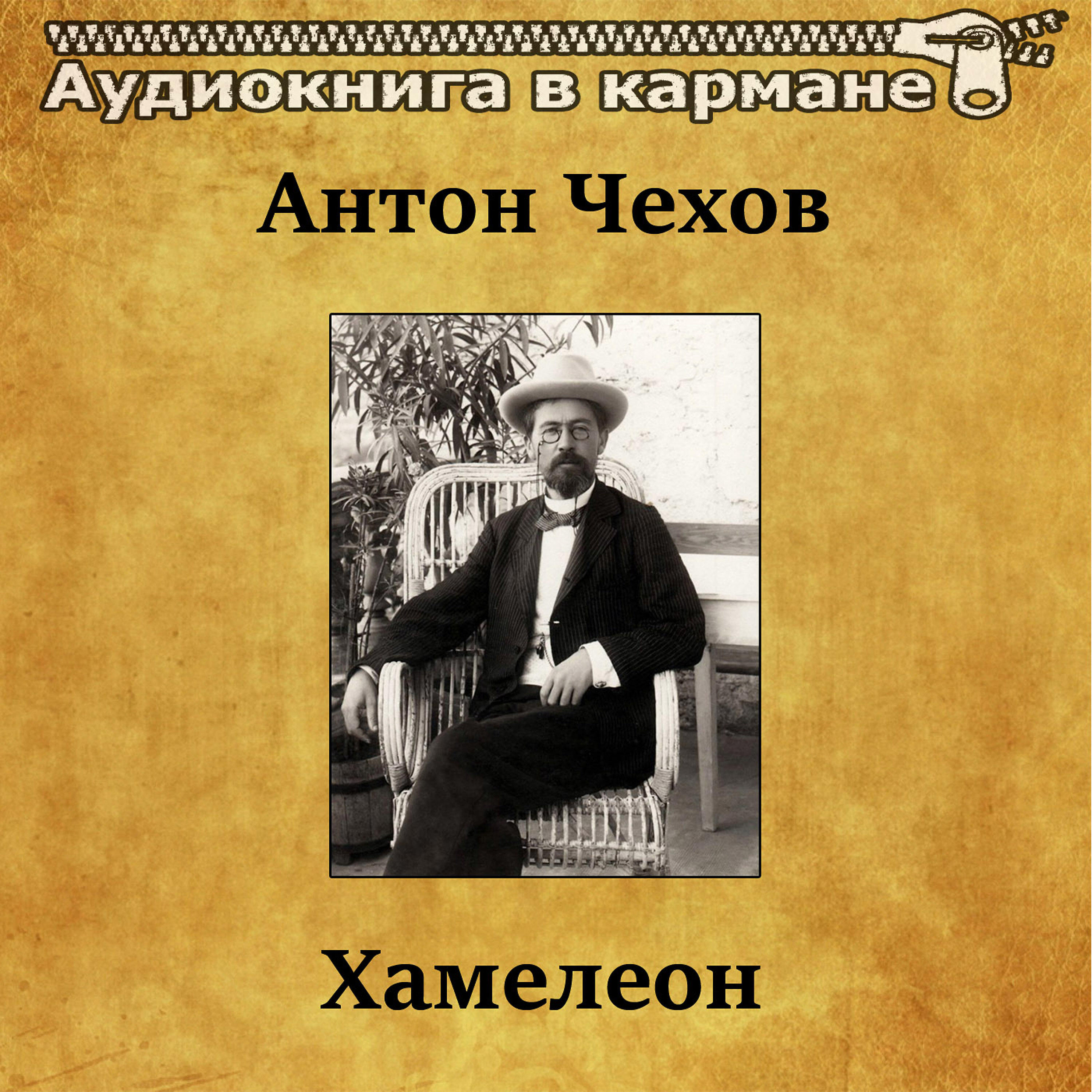 Книга Хамелеон