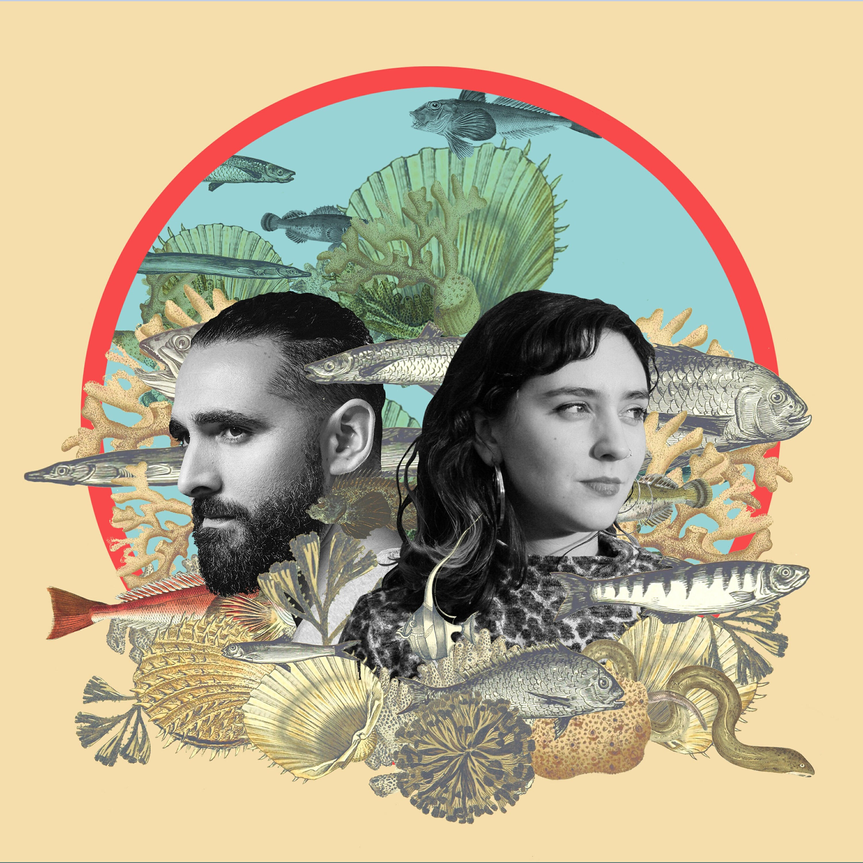 Релиз Bossa de Amor