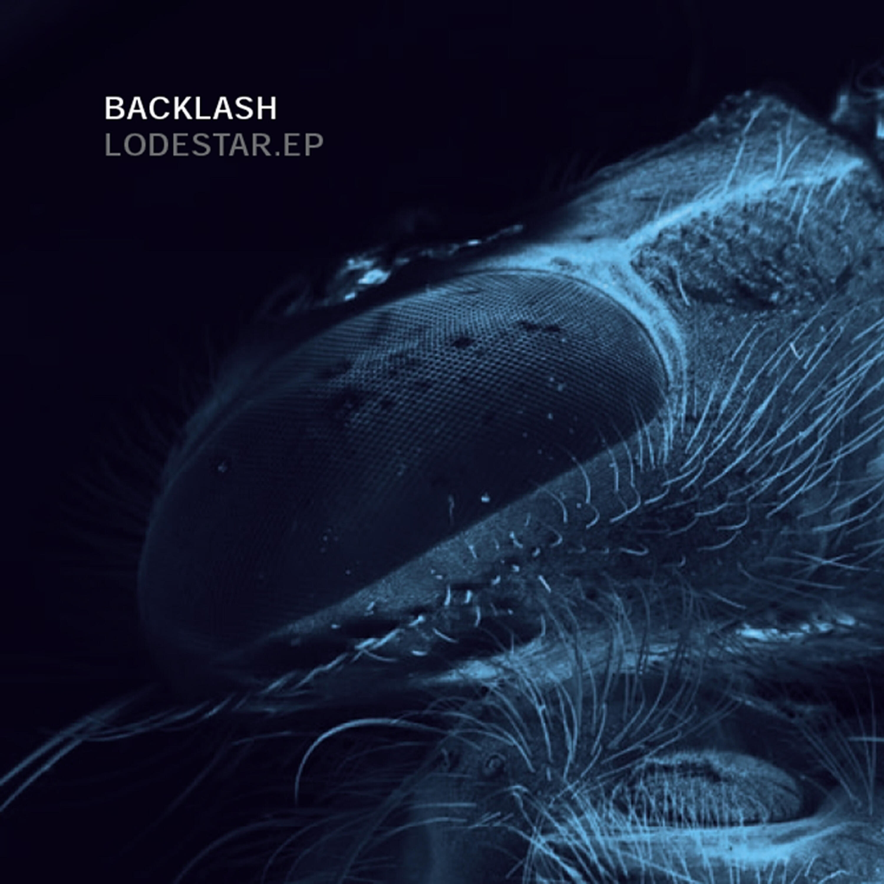 Релиз Lodestar EP