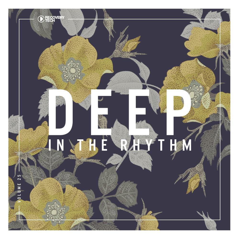 Релиз Deep in the Rhythm, Vol. 25