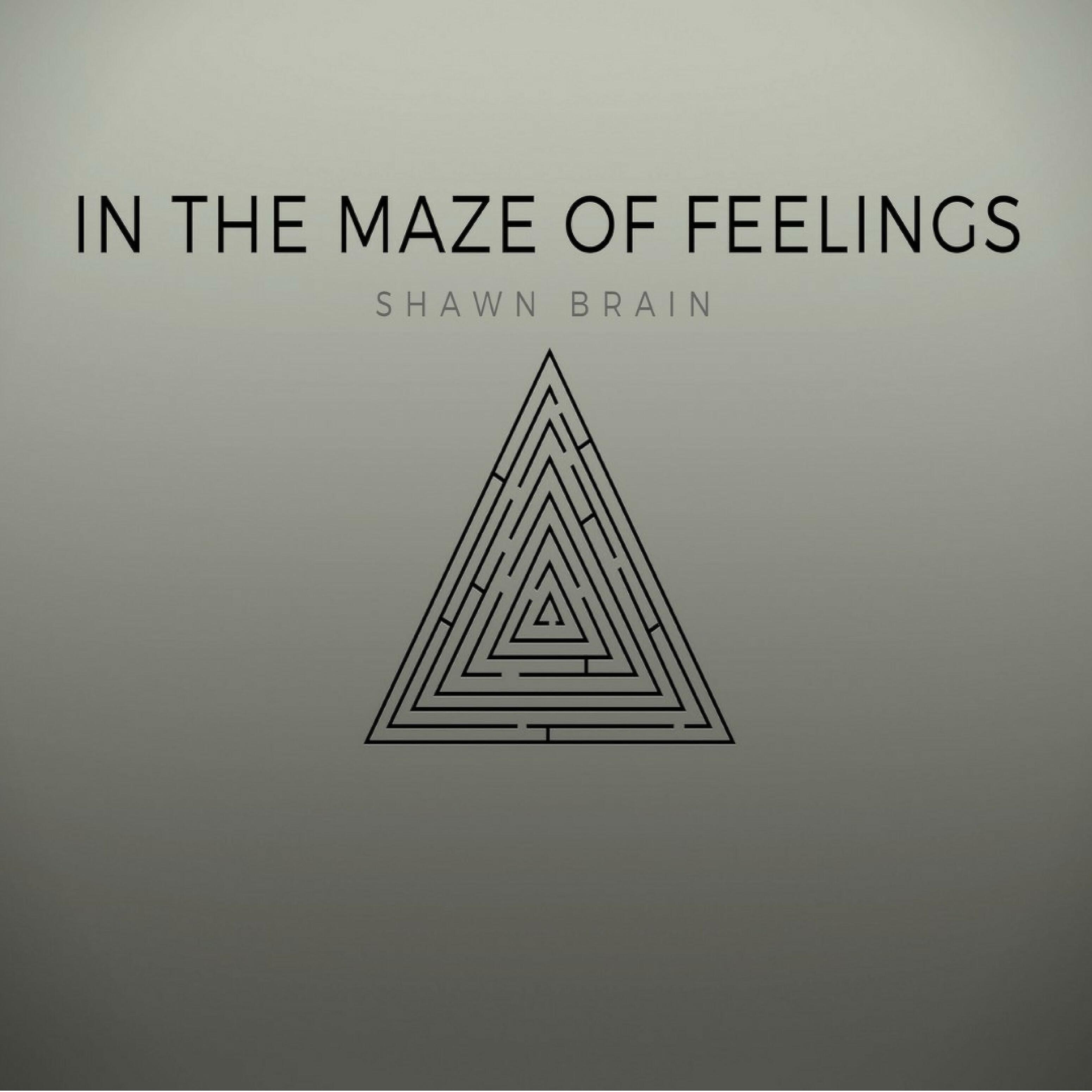 Постер альбома In the Maze of Feelings