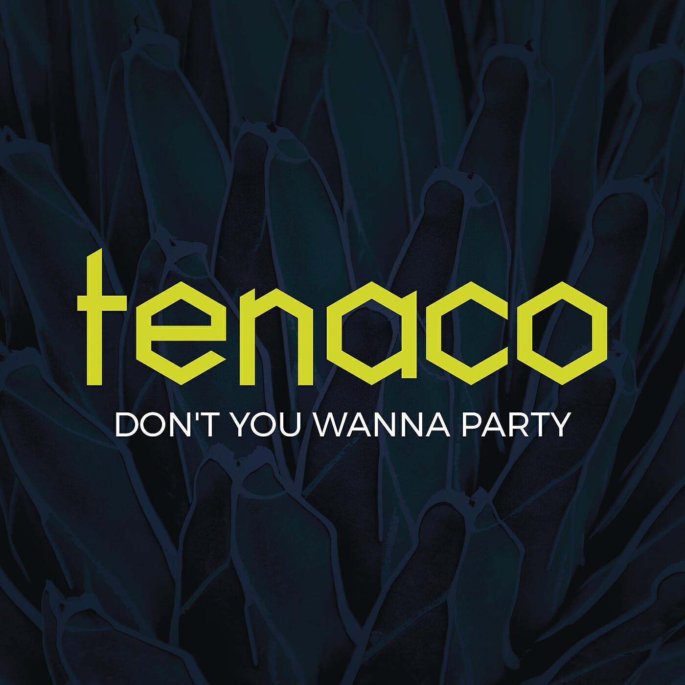 Постер альбома Don't You Wanna Party