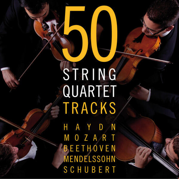 Постер альбома 50 String Quartet Tracks - Haydn - Mozart - Beethoven - Mendelssohn - Schubert