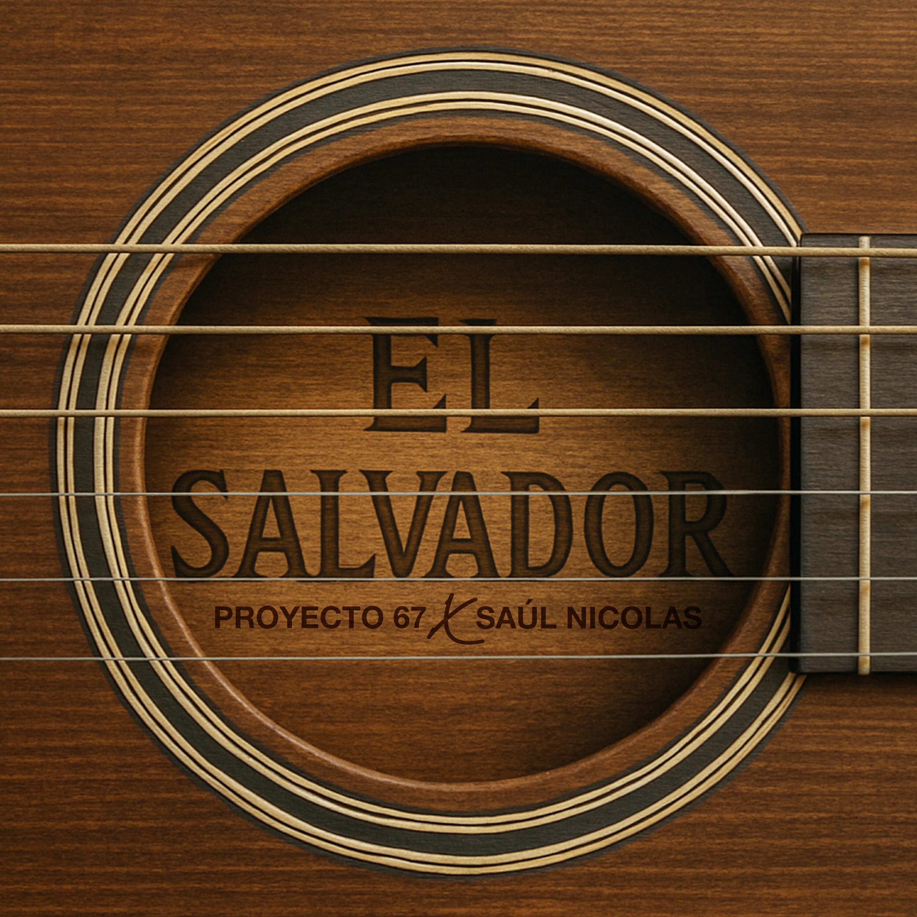 Proyecto 67