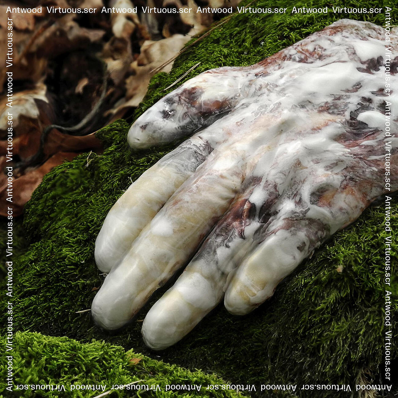 Релиз Virtuous.scr