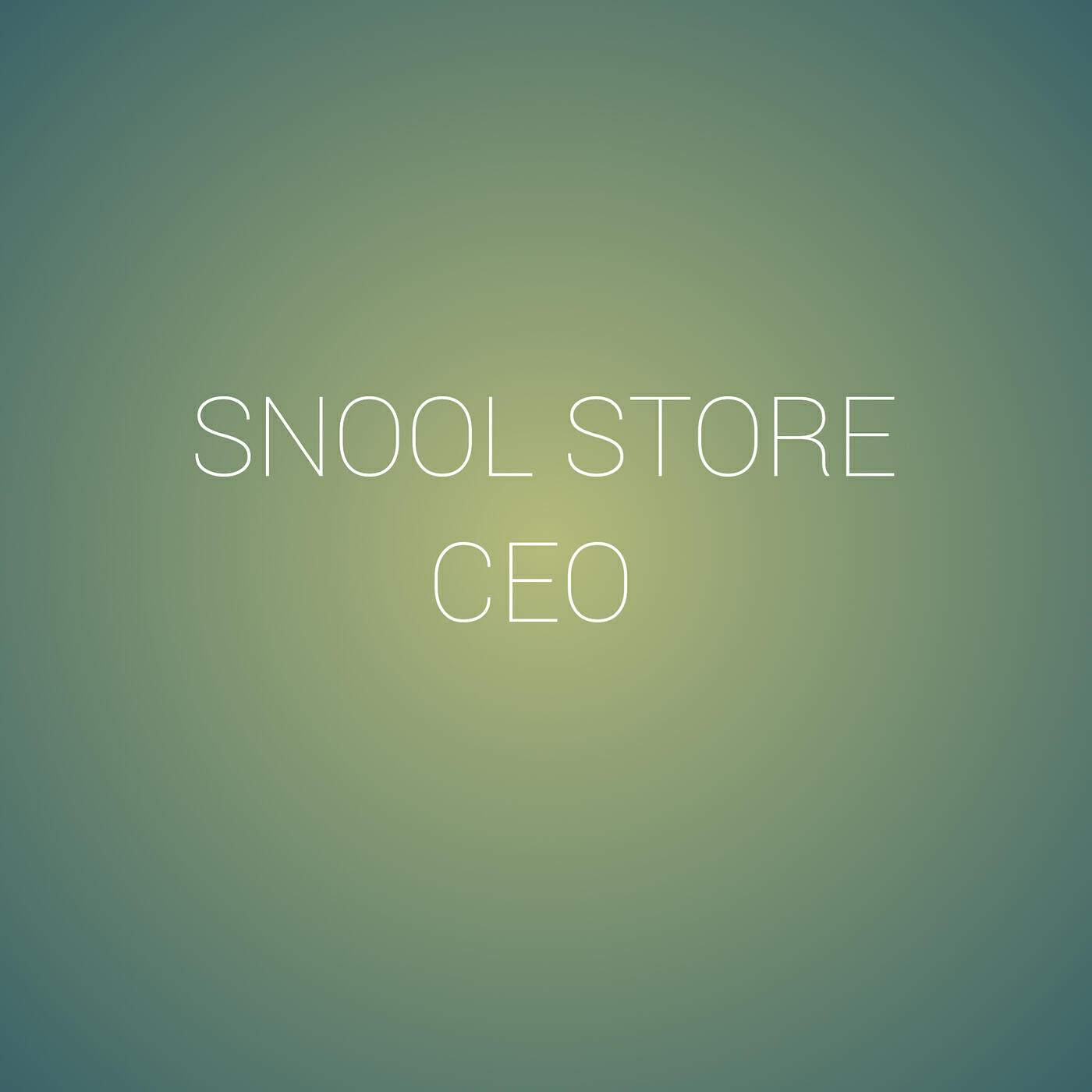Релиз Snool Store Ceo
