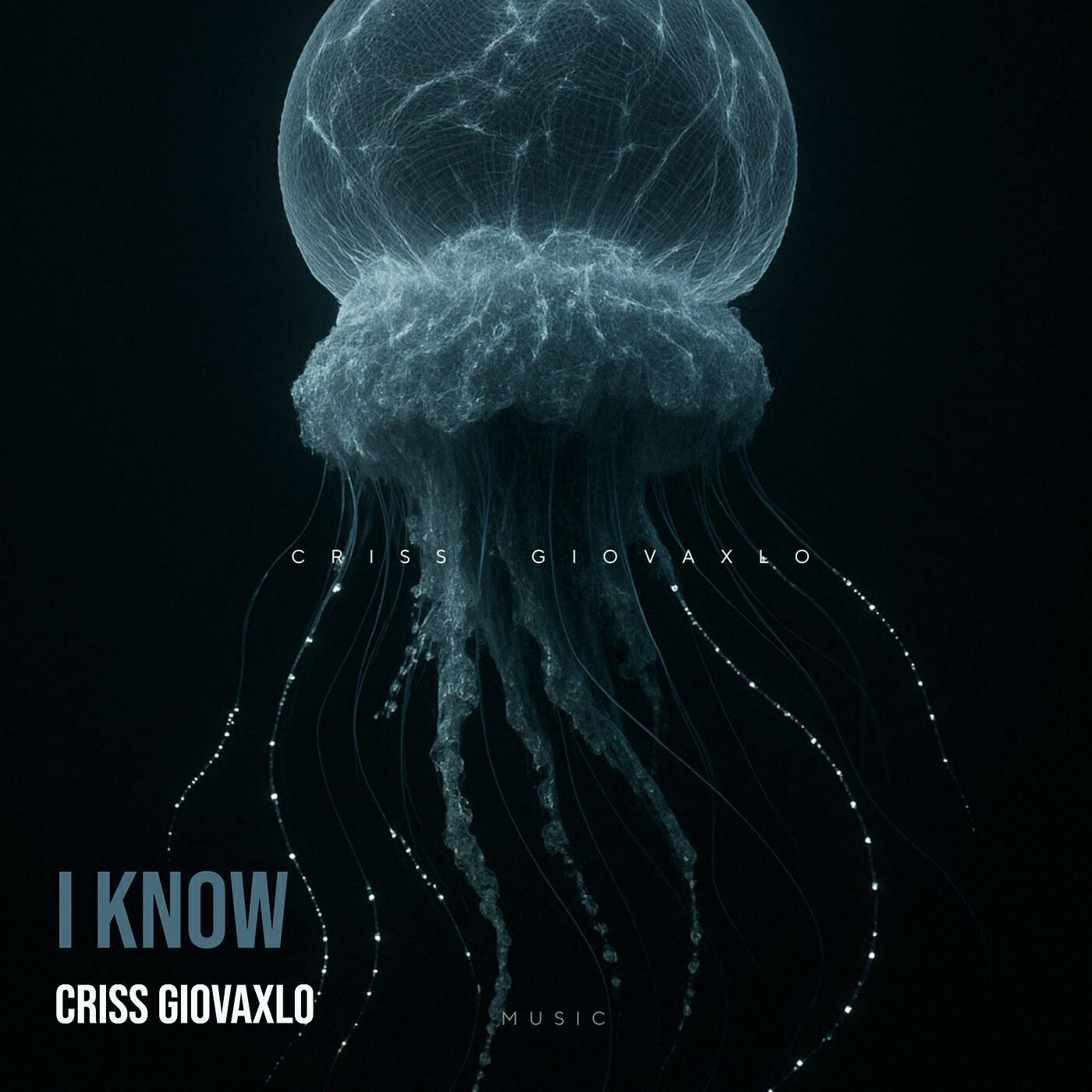 Релиз I Know