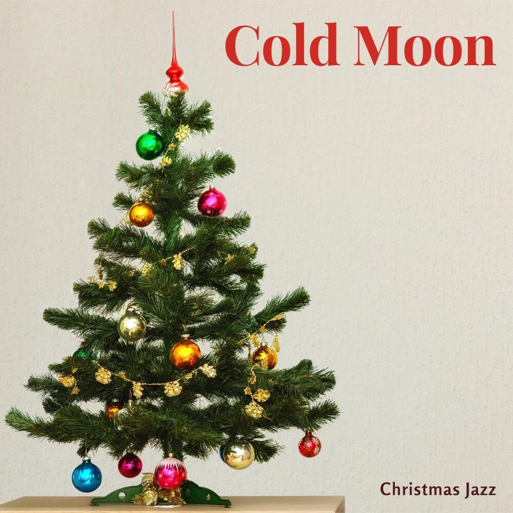 Релиз Cold Moon: Christmas Instrumentals