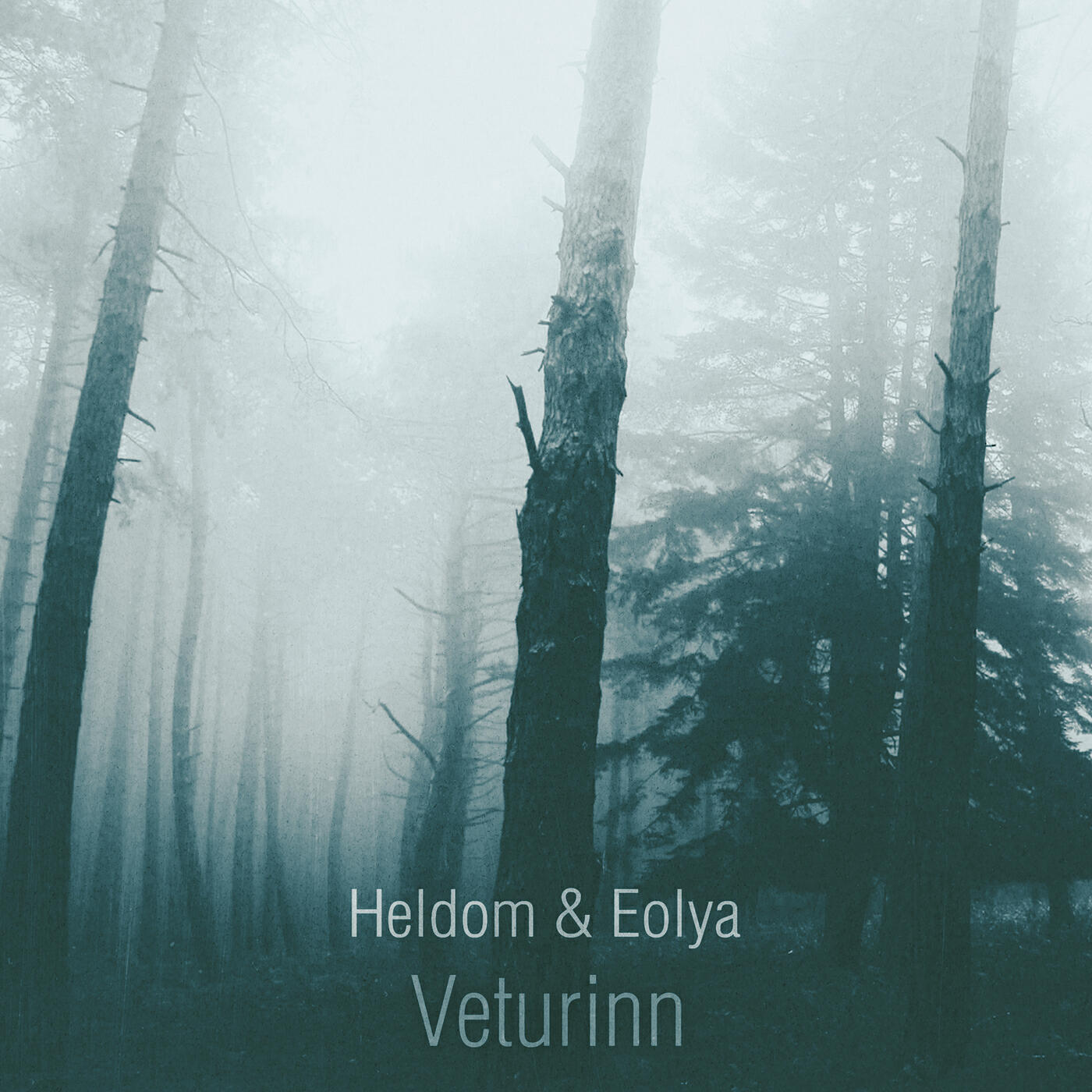Постер альбома Veturinn