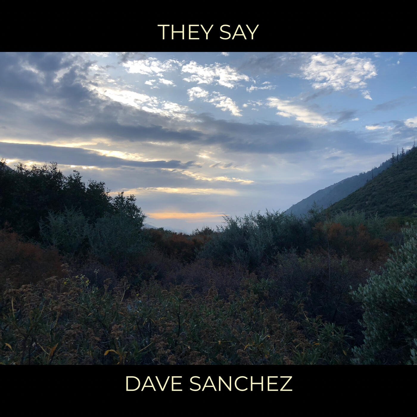 Релиз They Say