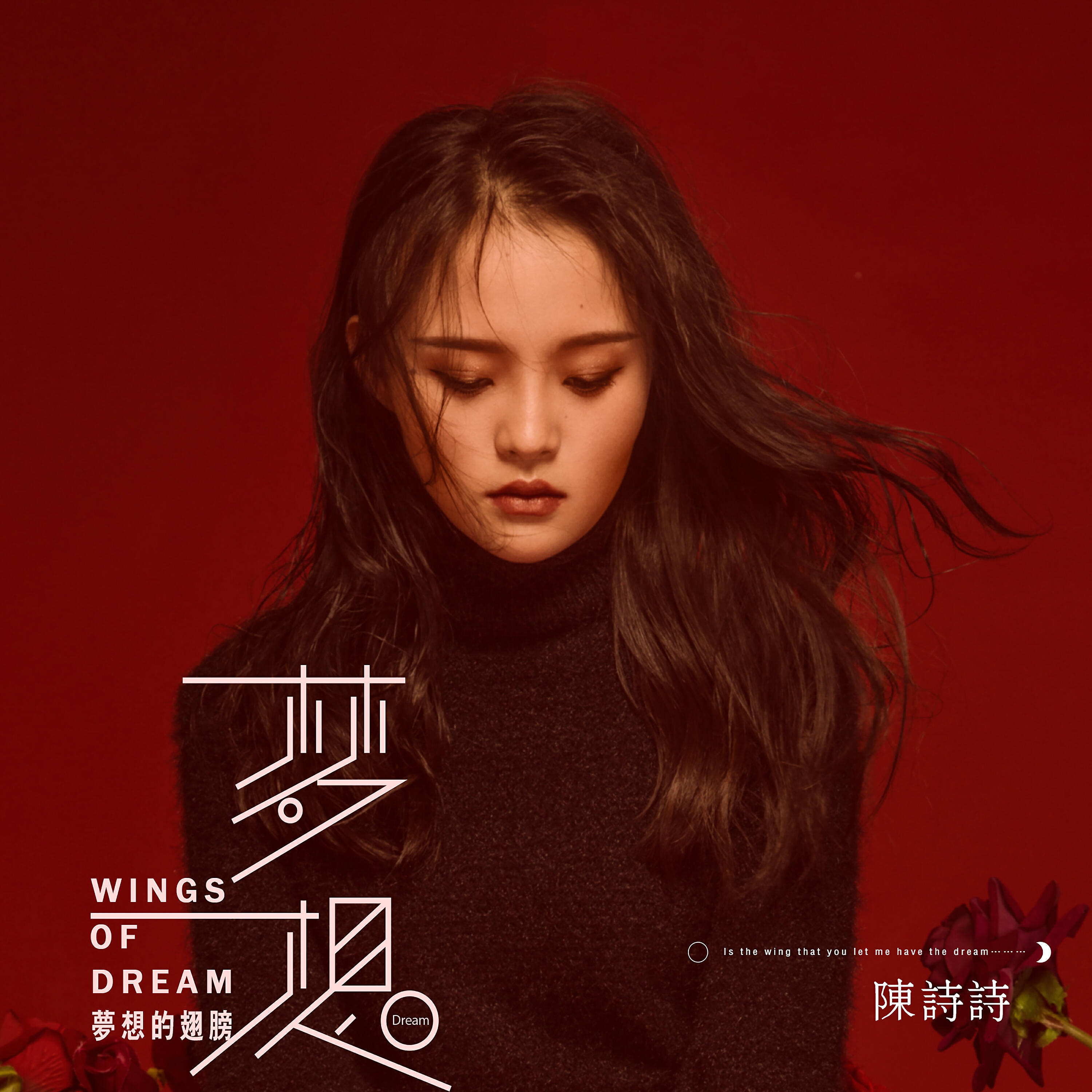 Релиз 梦想的翅膀
