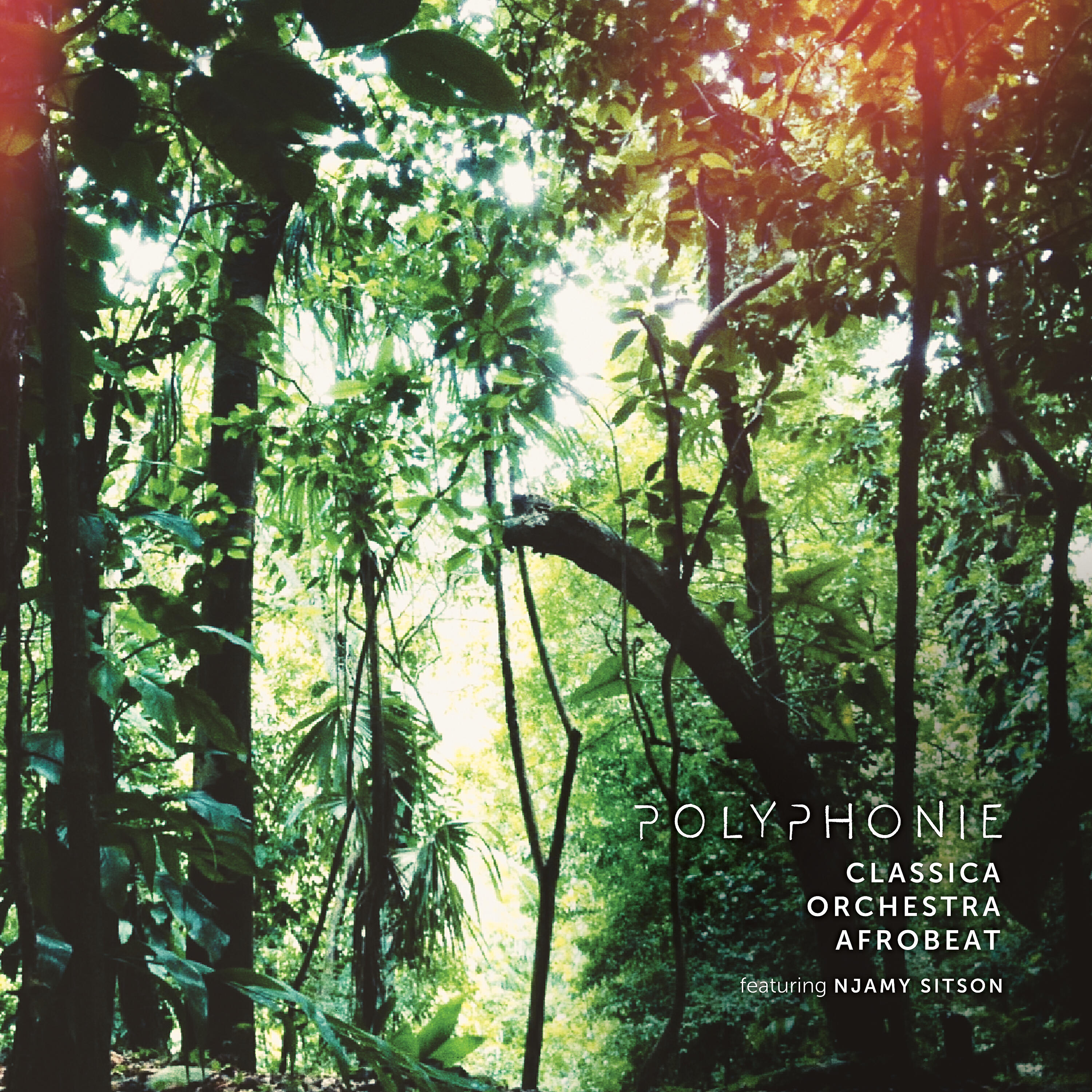 Релиз Polyphonie