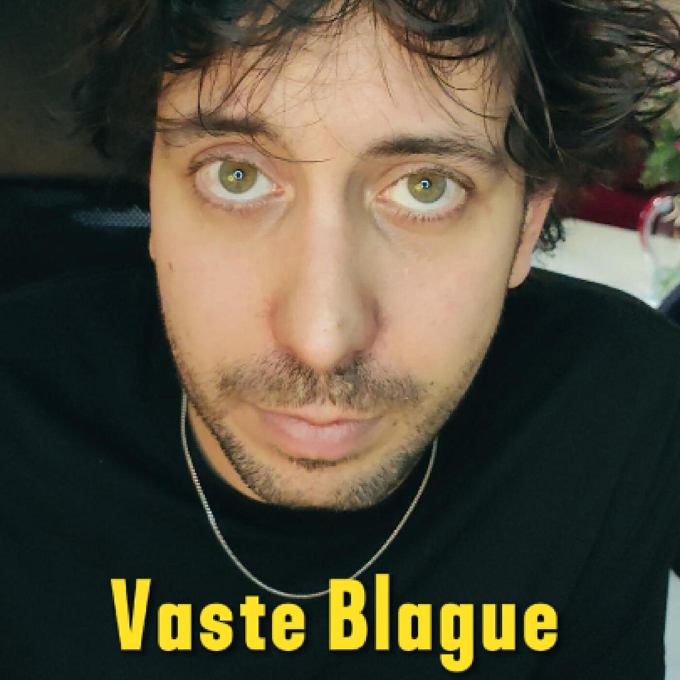 Релиз Vaste Blague