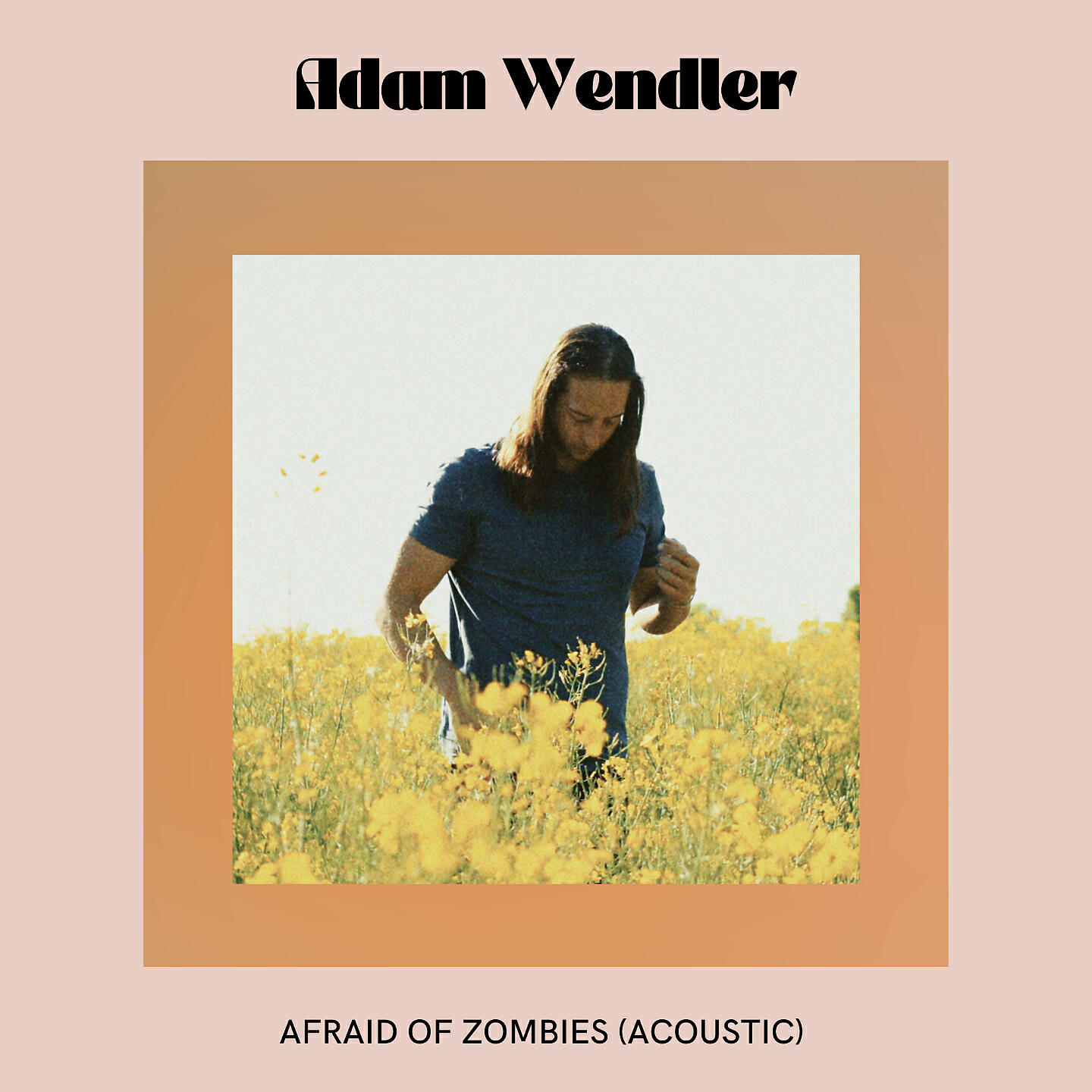 Релиз Afraid of Zombies (Acoustic)