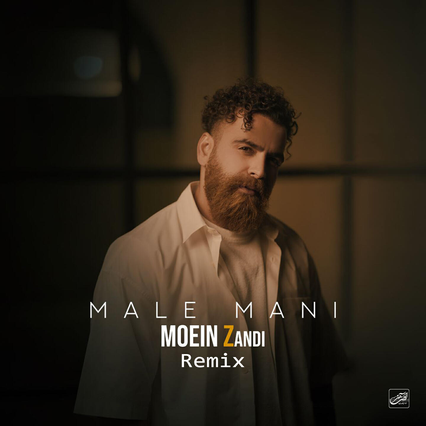 Релиз Male Mani (Ali Yadegari Remix)