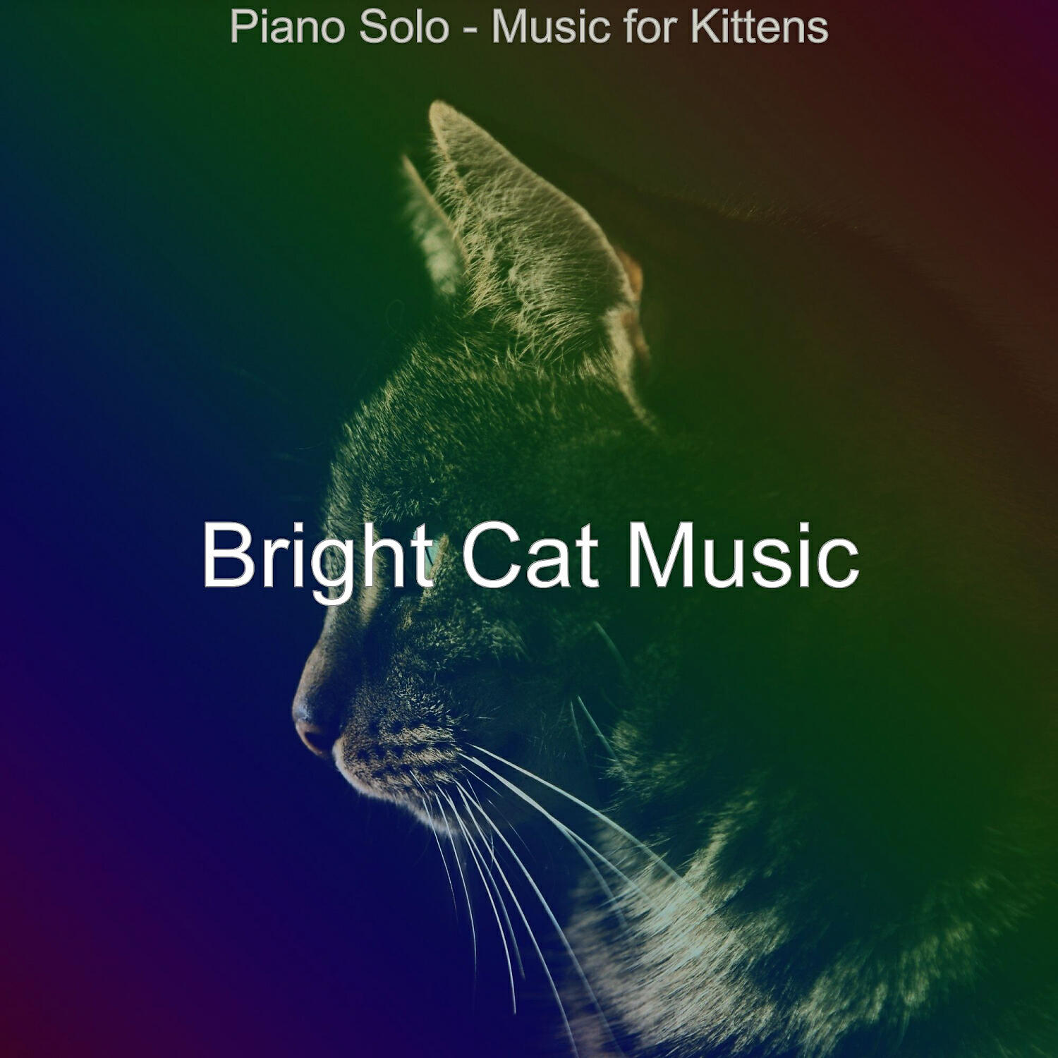 Релиз Piano Solo - Music for Kittens