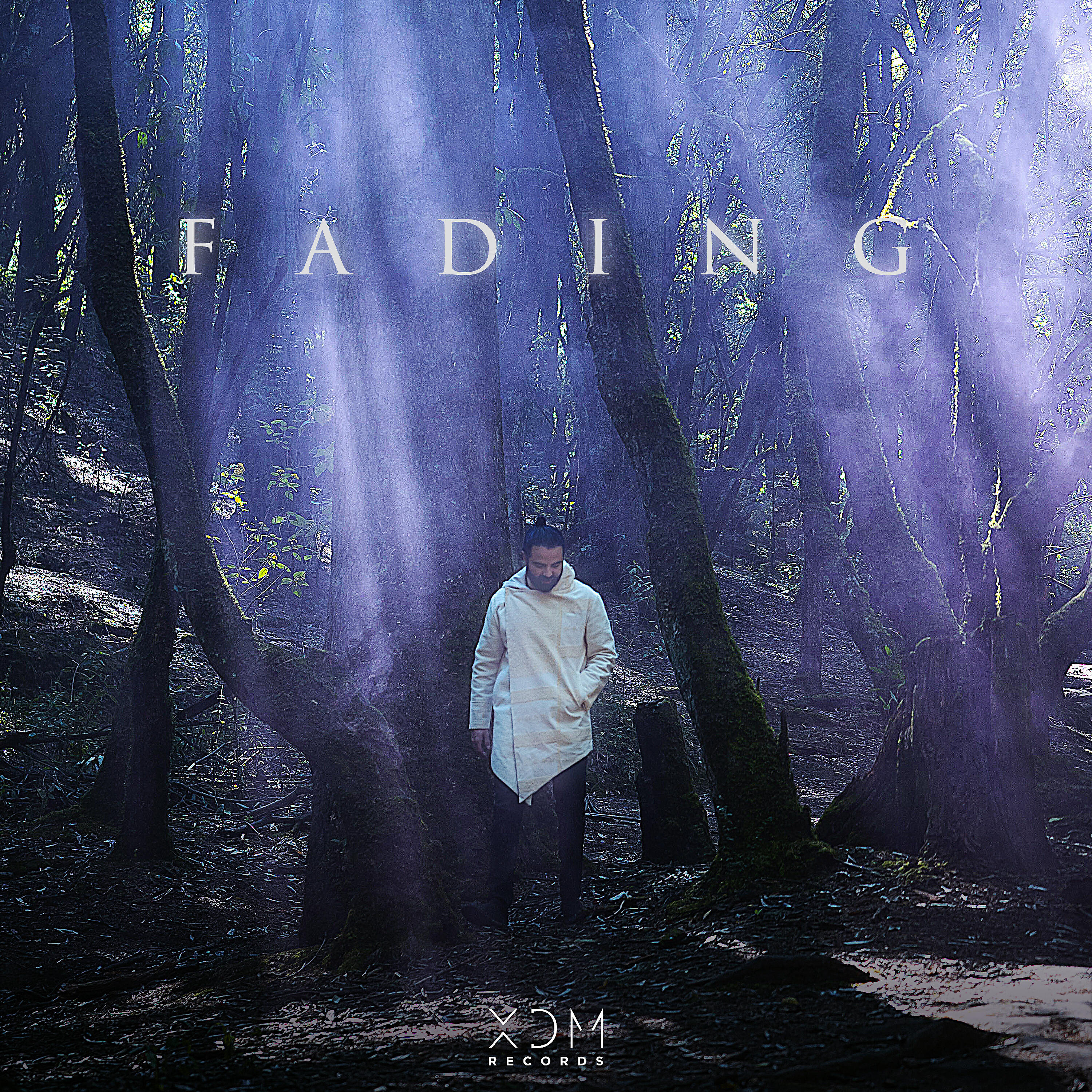 Релиз Fading