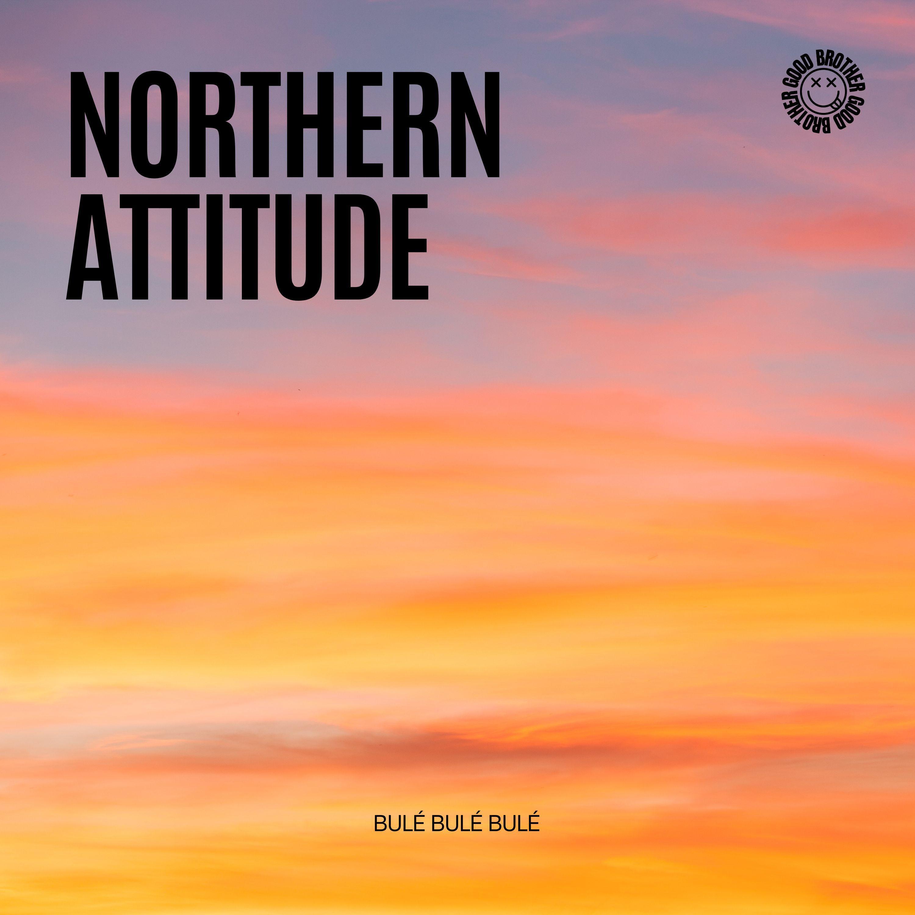 Релиз Northern Attitude (House)