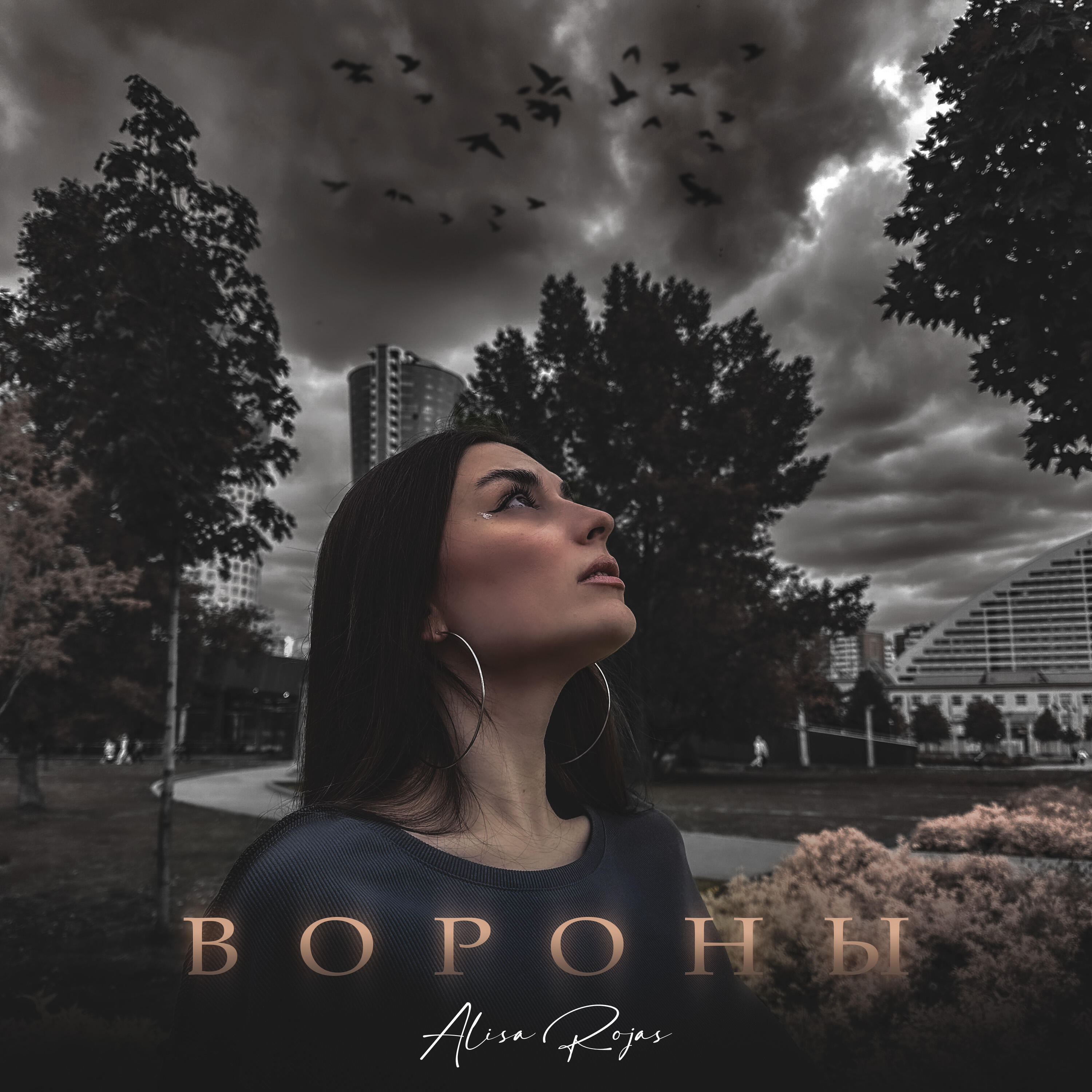 Релиз вороны