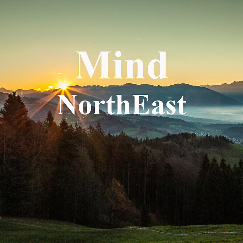 Релиз Mind