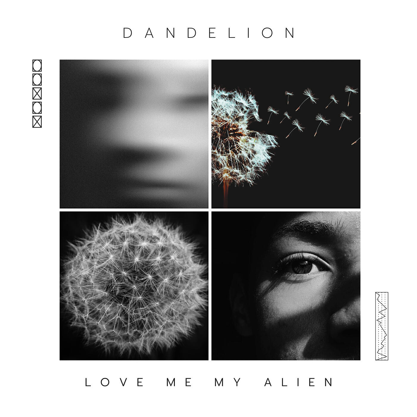 Релиз Dandelion