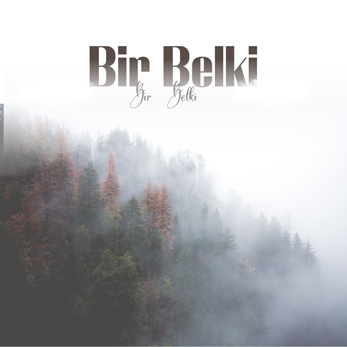 Релиз Bir Belki