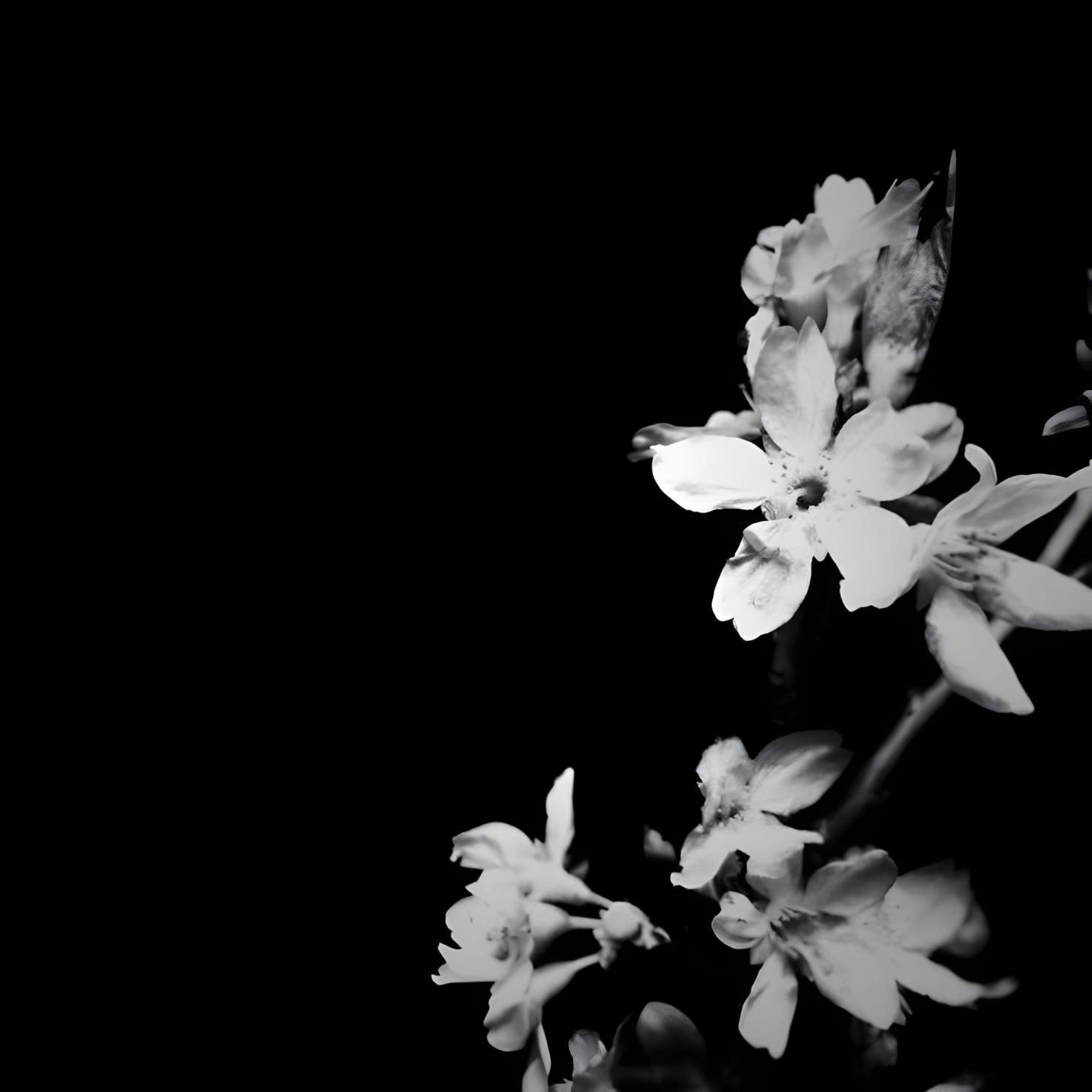 Релиз Im Still Dreaming