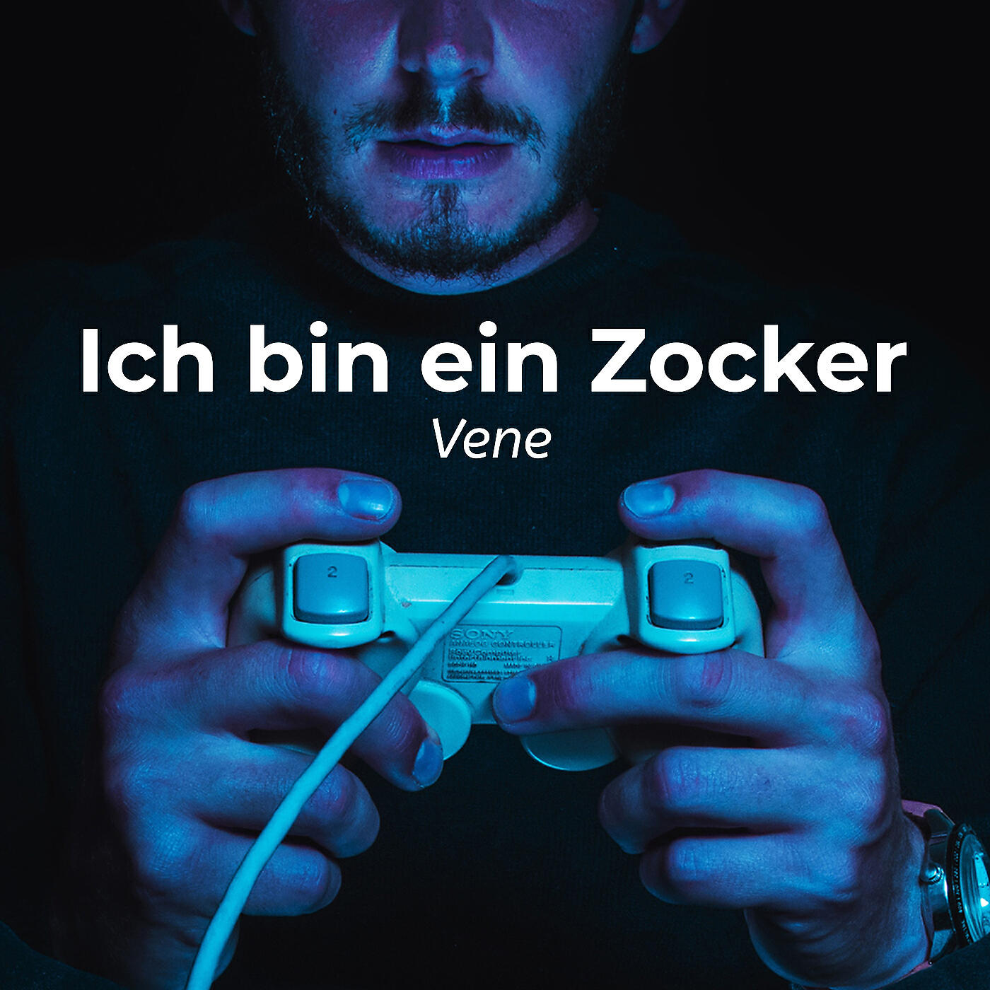 Релиз Ich Bin Ein Zocker