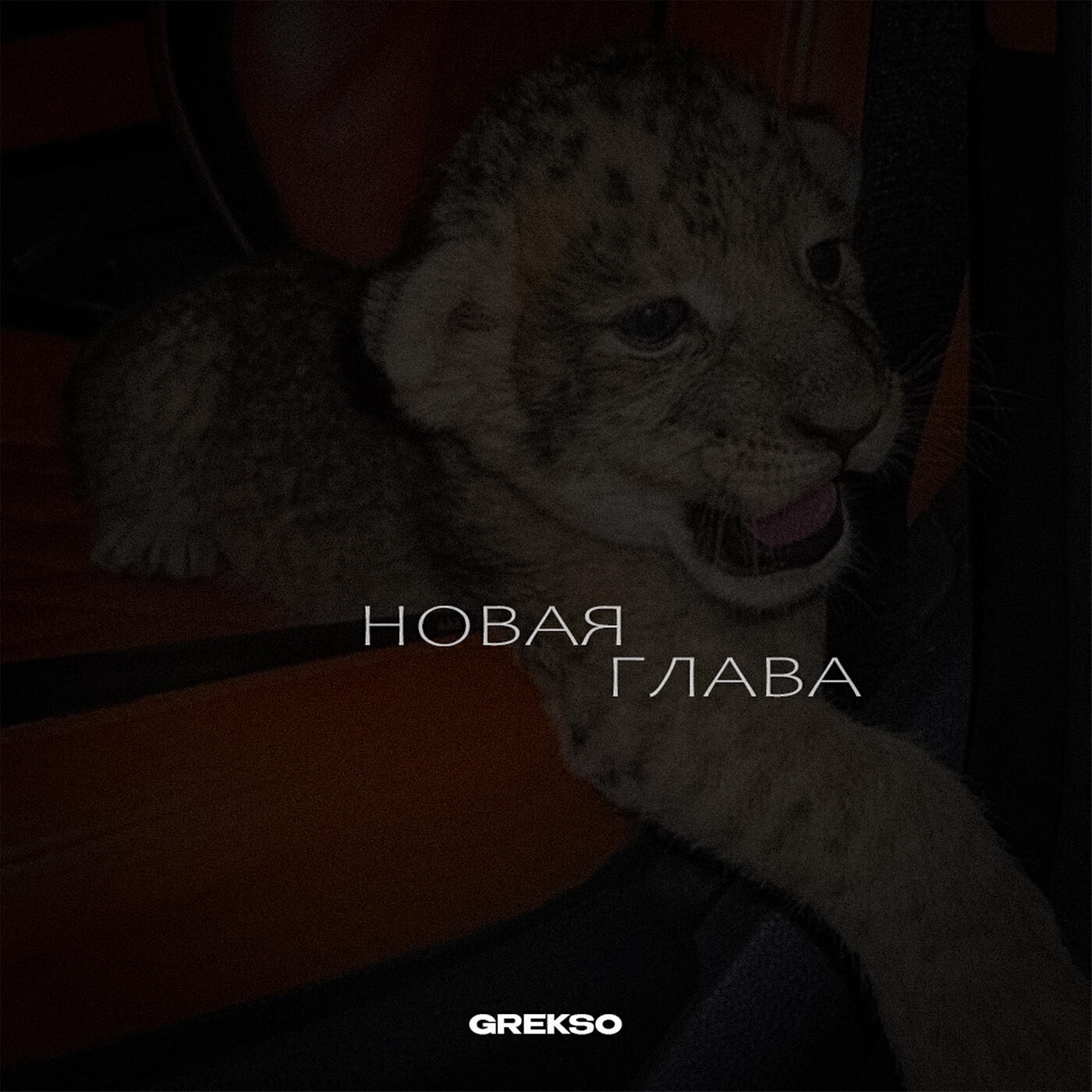 Постер альбома Новая глава