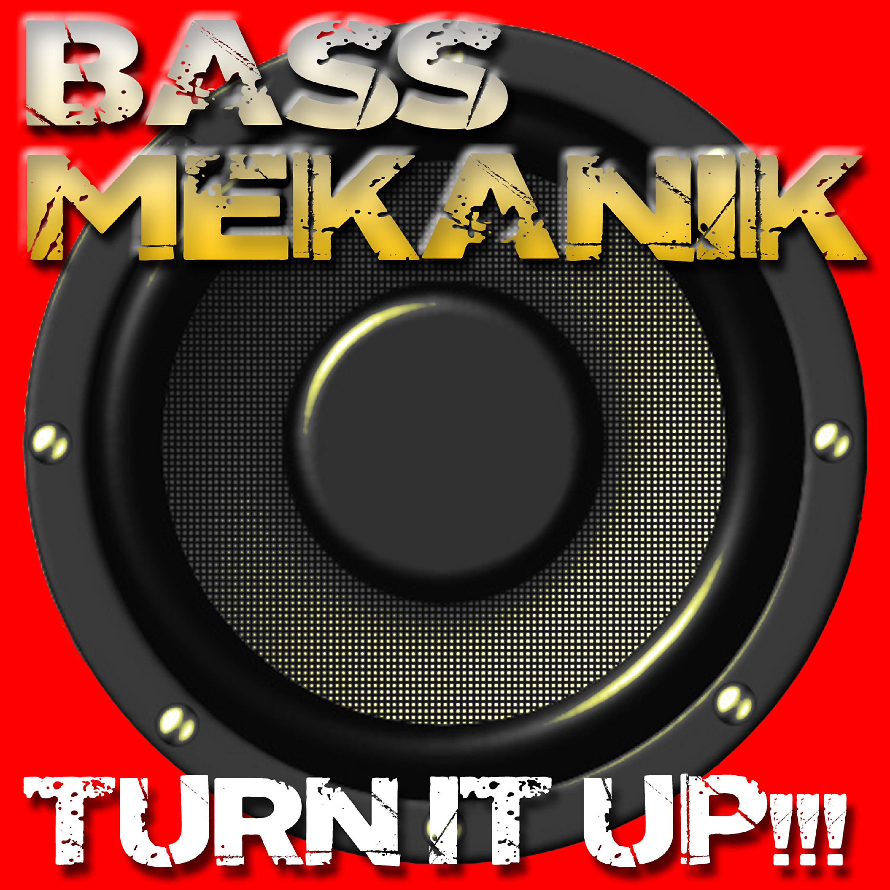 Релиз Turn It Up