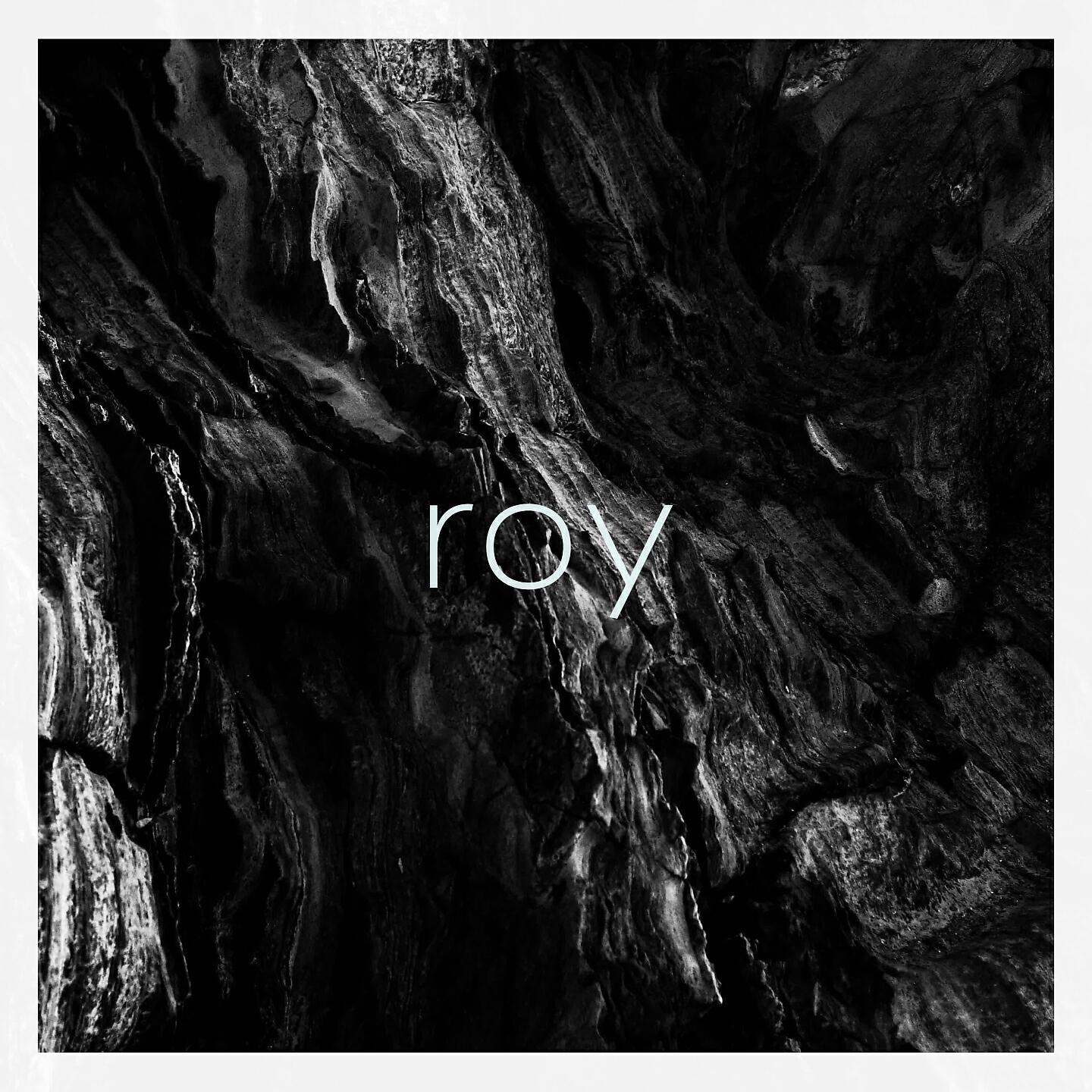 Релиз Roy